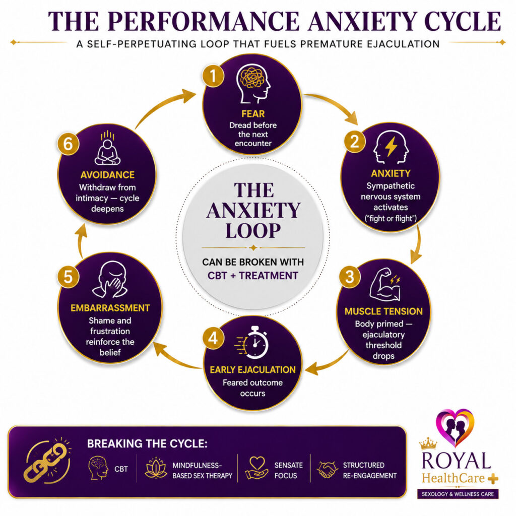 Performance anxiety cycle infographic showing how fear, anxiety, muscle tension, and embarrassment contribute to premature ejaculation
