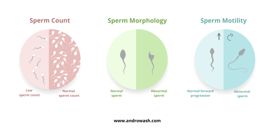 Sperm count